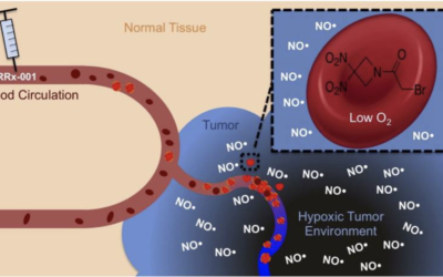 Whole brain radiotherapy and RRx-001: Two partial responses in radioresistant melanoma brain metastases from a phase I/II clinical trial: A TITE-CRM phase I/II clinical trial