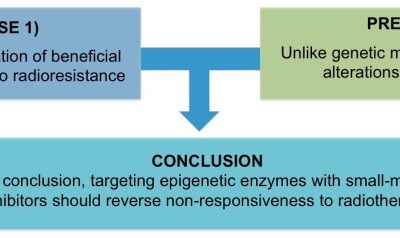 Turning on the radio: Epigenetic inhibitors as potential radiopriming agents.