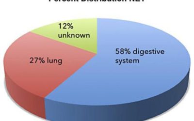 Immune reactivity and pseudoprogression or tumor flare in a serially biopsied neuroendocrine patient treated with the epigenetic agent RRx-001