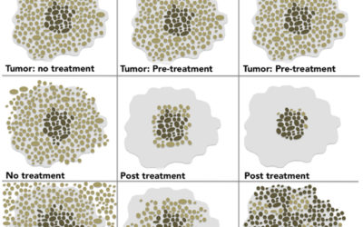 The war on cancer: A military perspective