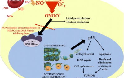 Rewriting the epigenetic code for tumor resensitization:  A review