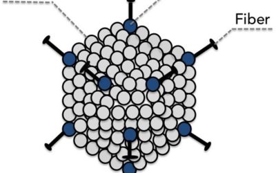 Going viral: A review of replication-selective oncolytic adenoviruses.