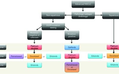 Addressing the elephant in the room, therapeutic resistance in non-small cell lung cancer, with epigenetic therapies