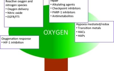 Six degrees of separation: The oxygen effect in the development of radiosensitizers