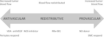 Beyond antiangiogenesis: Vascular modulation as an anticancer therapy-a review