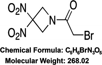 RRx-001, an epigenetic-based radio- and chemosensitizer, has vascular normalizing effects on SCCVII and U87 tumors.