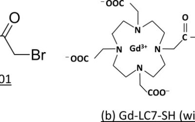 Magnetic resonance imaging of RRx-001 pharmacodynamics in preclinical tumors.