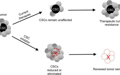 Brief report: RRx-001 is a c-Myc inhibitor that targets cancer stem cells.