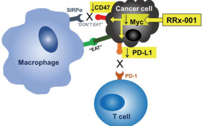 In small cell lung cancer patients treated with RRx-001, a downregulator of CD47, decreased expression of PD-L1 on circulating tumor cells significantly correlates with clinical benefit.