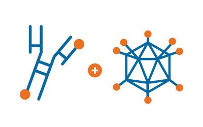 Of course…AdAPT-001 is designed to improve immune checkpoint inhibitors