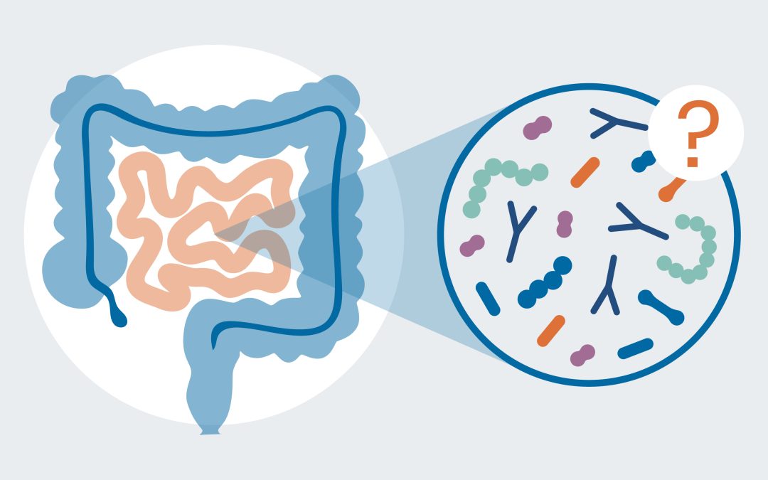 “Teem” Bacteria and the Microbiome