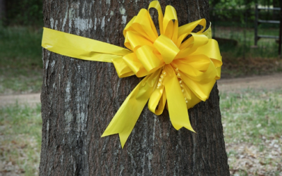 The Story Behind Cancer Awareness Ribbons