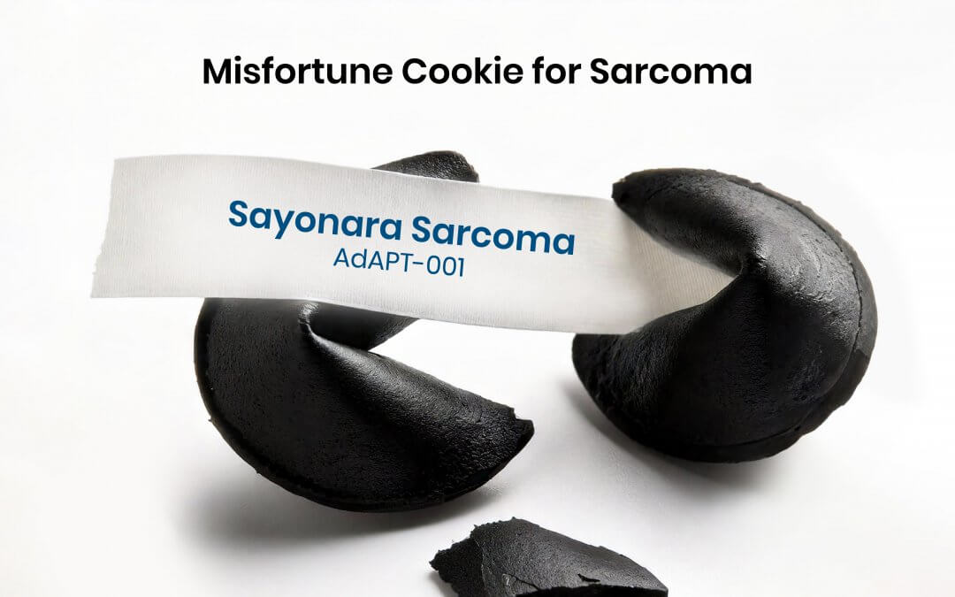 Misfortune Cookie 2